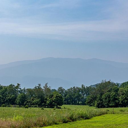 Misty Morning Meadow Breathtaking Smoky Mountain Cabin With Hot Tub, Views, & Free Tickets Villa Cosby Exterior photo