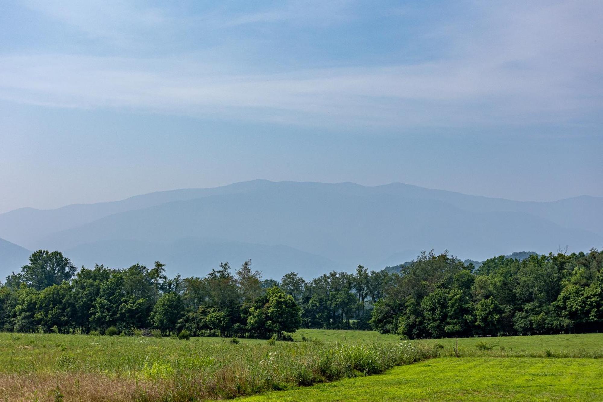 Misty Morning Meadow Breathtaking Smoky Mountain Cabin With Hot Tub, Views, & Free Tickets Villa Cosby Exterior photo