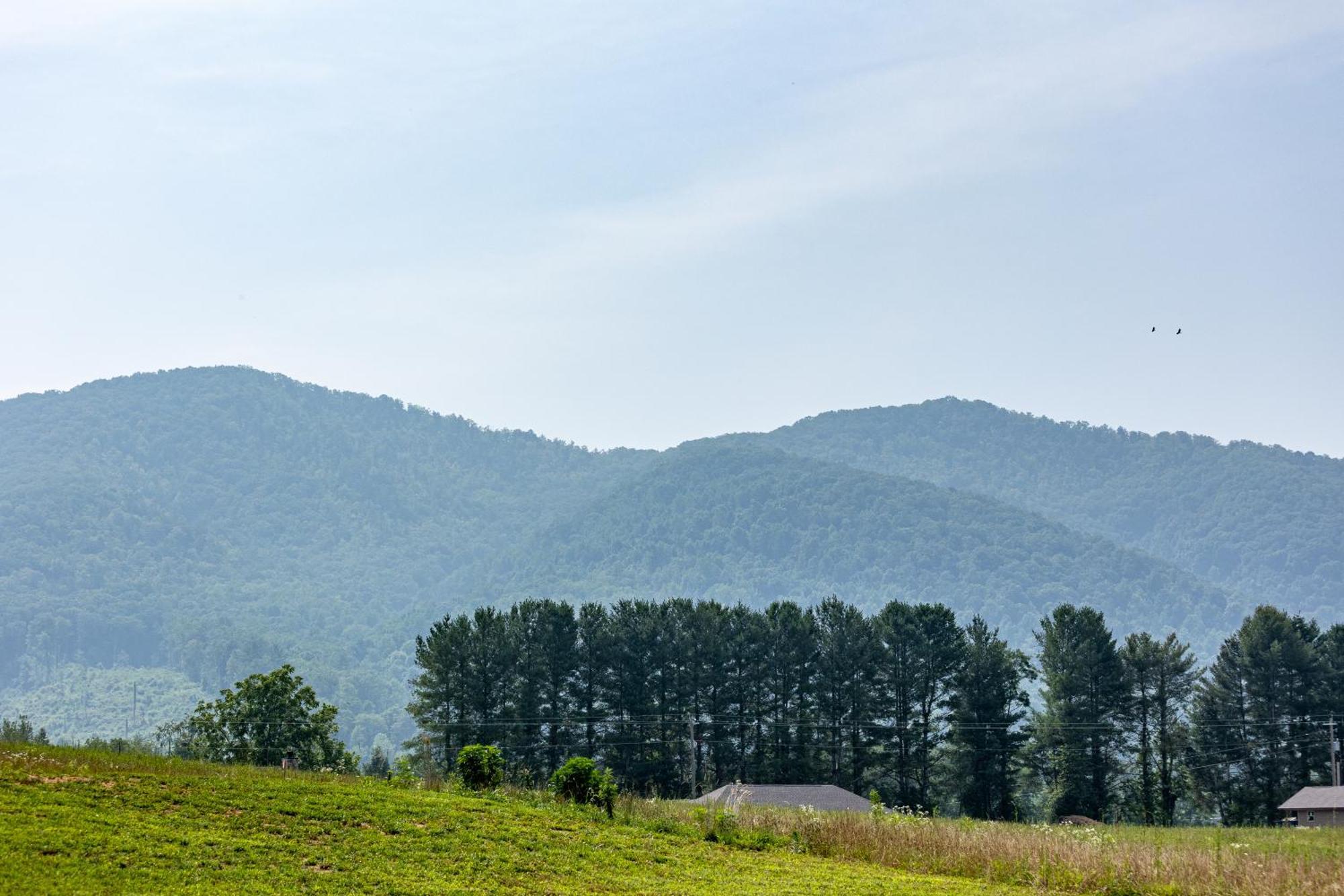 Misty Morning Meadow Breathtaking Smoky Mountain Cabin With Hot Tub, Views, & Free Tickets Villa Cosby Exterior photo